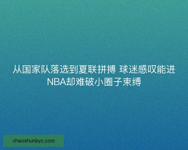 从国家队落选到夏联拼搏 球迷感叹能进NBA却难破小圈子束缚