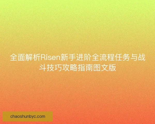 全面解析Risen新手进阶全流程任务与战斗技巧攻略指南图文版
